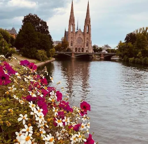 Beau Proche Strasbourg Lejlighed Illkirch-Graffenstaden