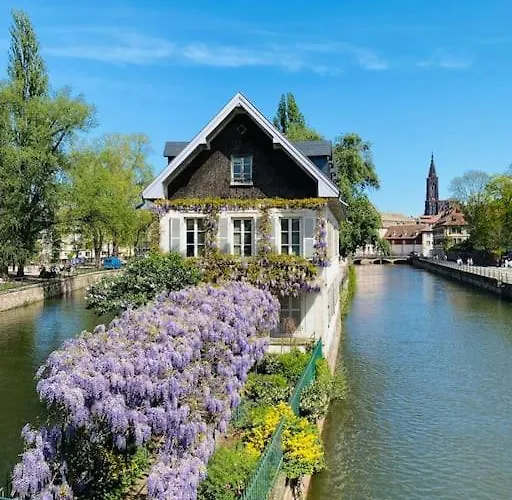 Lejlighed Beau Proche Strasbourg